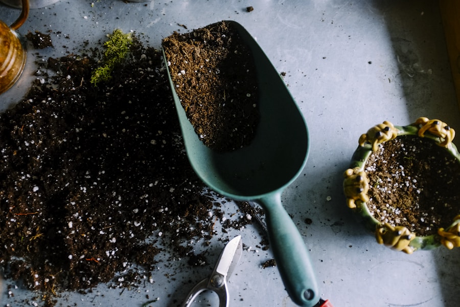 Diseño biofílico y plantas en interiores — tendencia interiorismo 2026